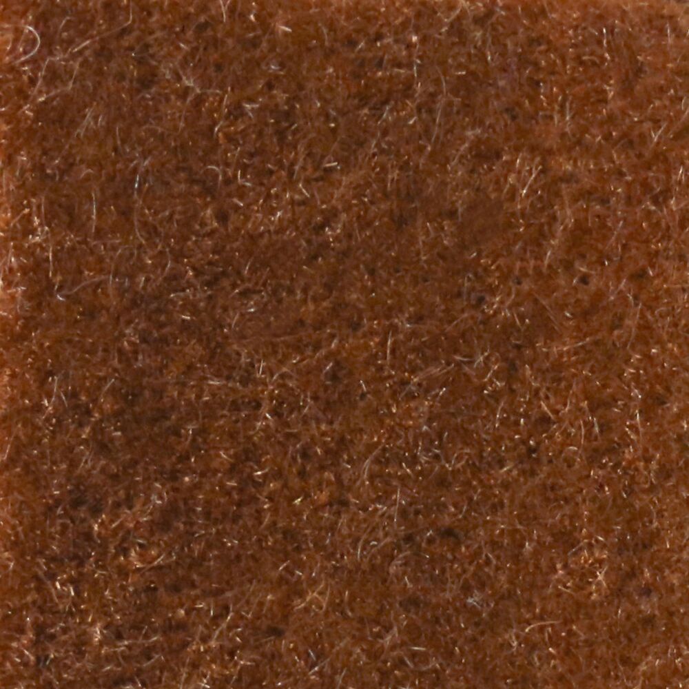 Nevada Cinnamon