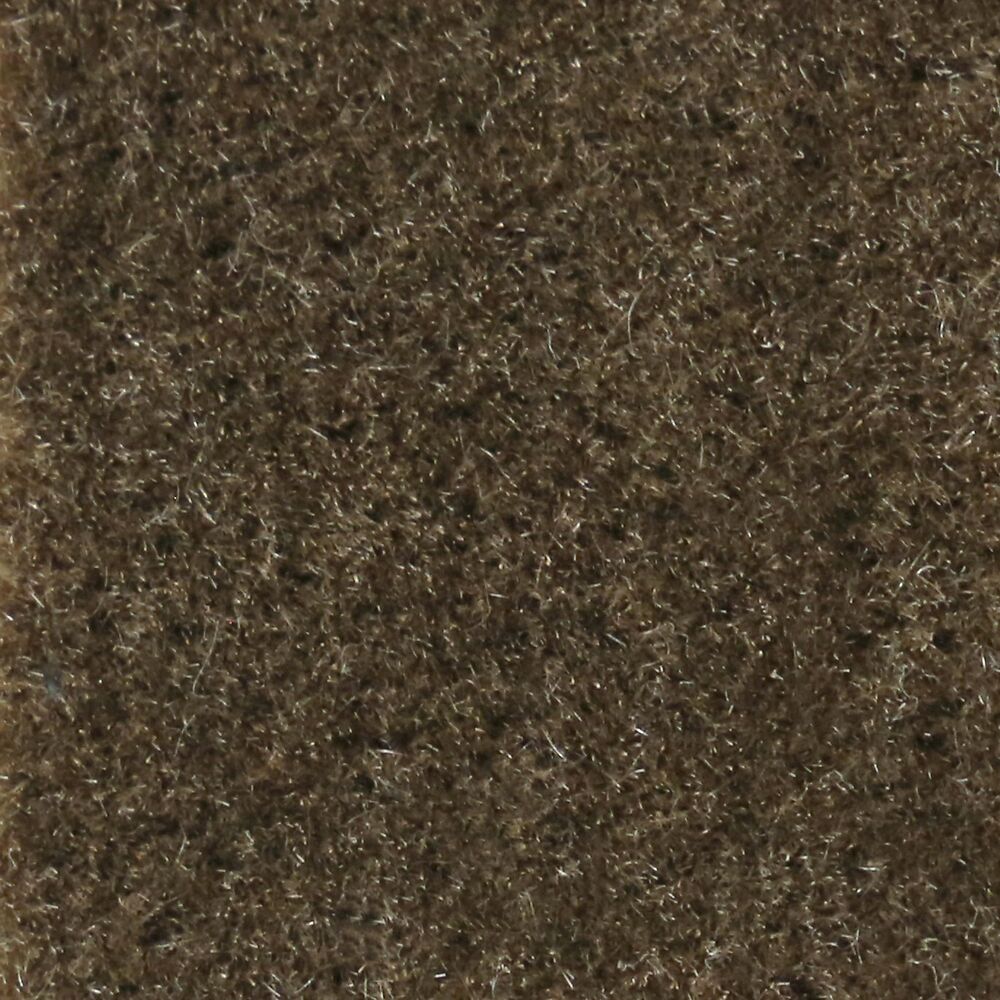 Nevada Java