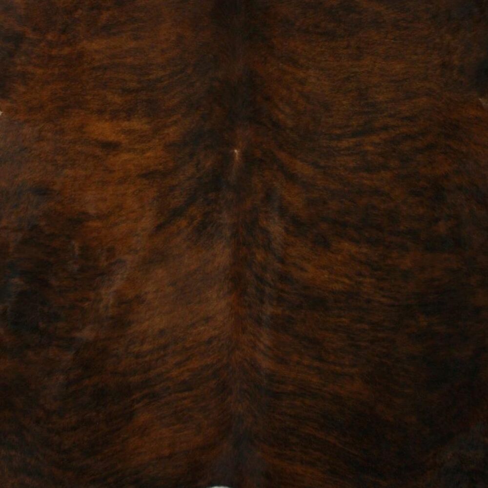 Cinnamon Dark