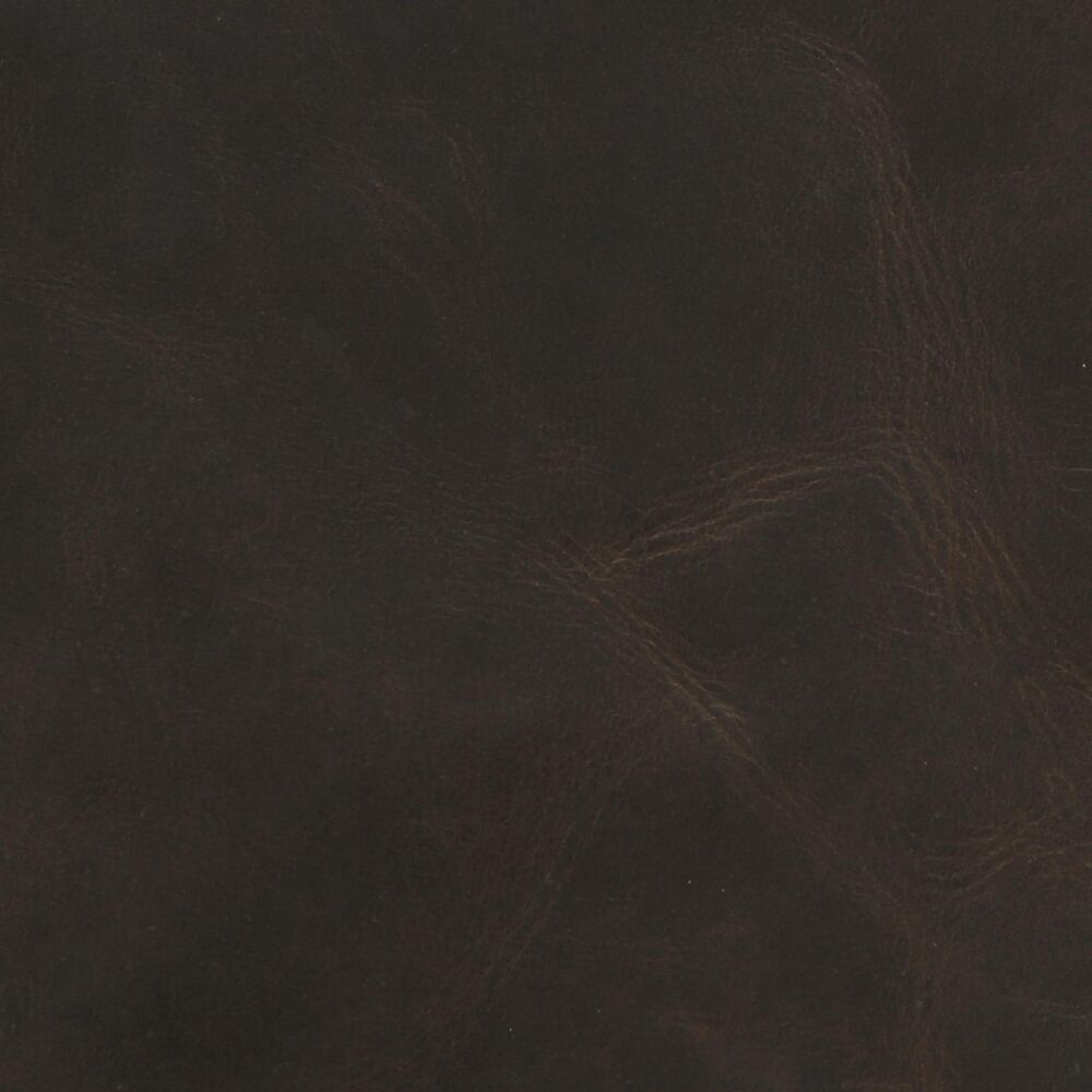 Equestrian Hickory