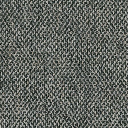 Bembebis Charcoal