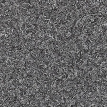 Dolly Grey