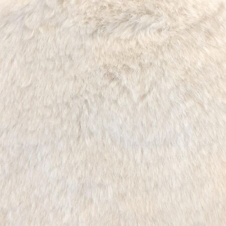 Furocious Arctic