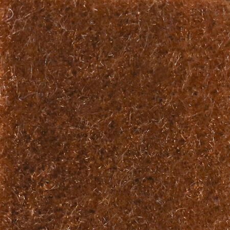 Nevada Cinnamon