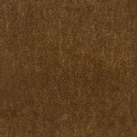 Nevada Brown Sugar