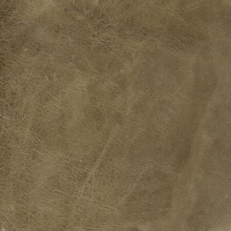 Berkshire Camel