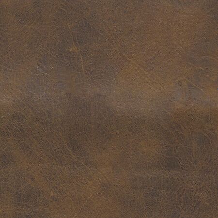 Burnham Sycamore