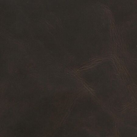 Equestrian Hickory