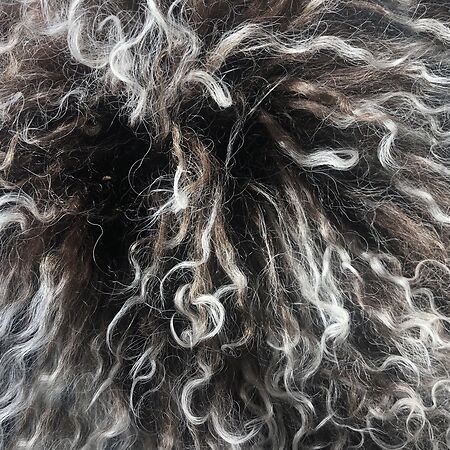 Gobi Brazin Ombre