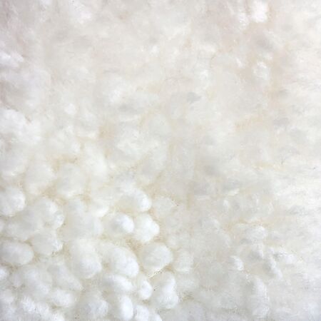 Hastings Ivory
