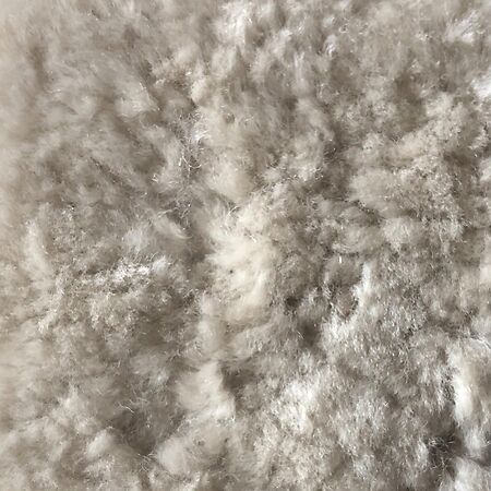Shearling Dusty Beige