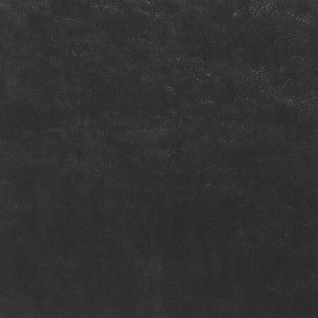 Palmetto Black