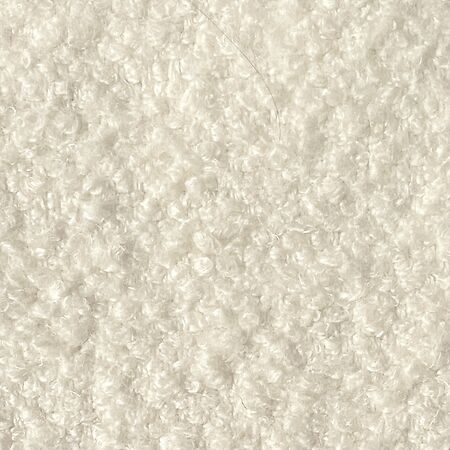 Berber Oyster