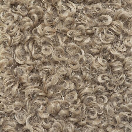 Curly Whirly Camel
