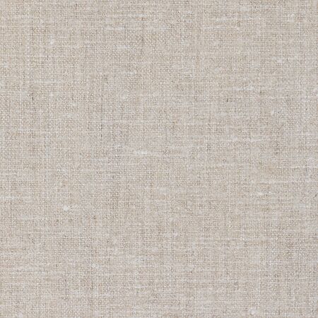 Ariduvet Teint Ivory